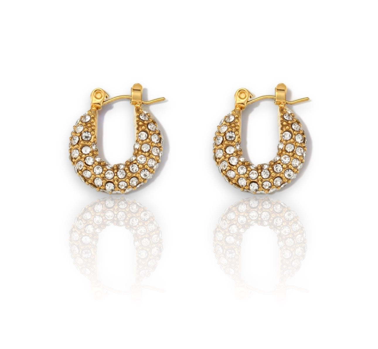 Small/zircon earrings