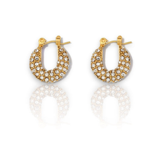 Small/zircon earrings